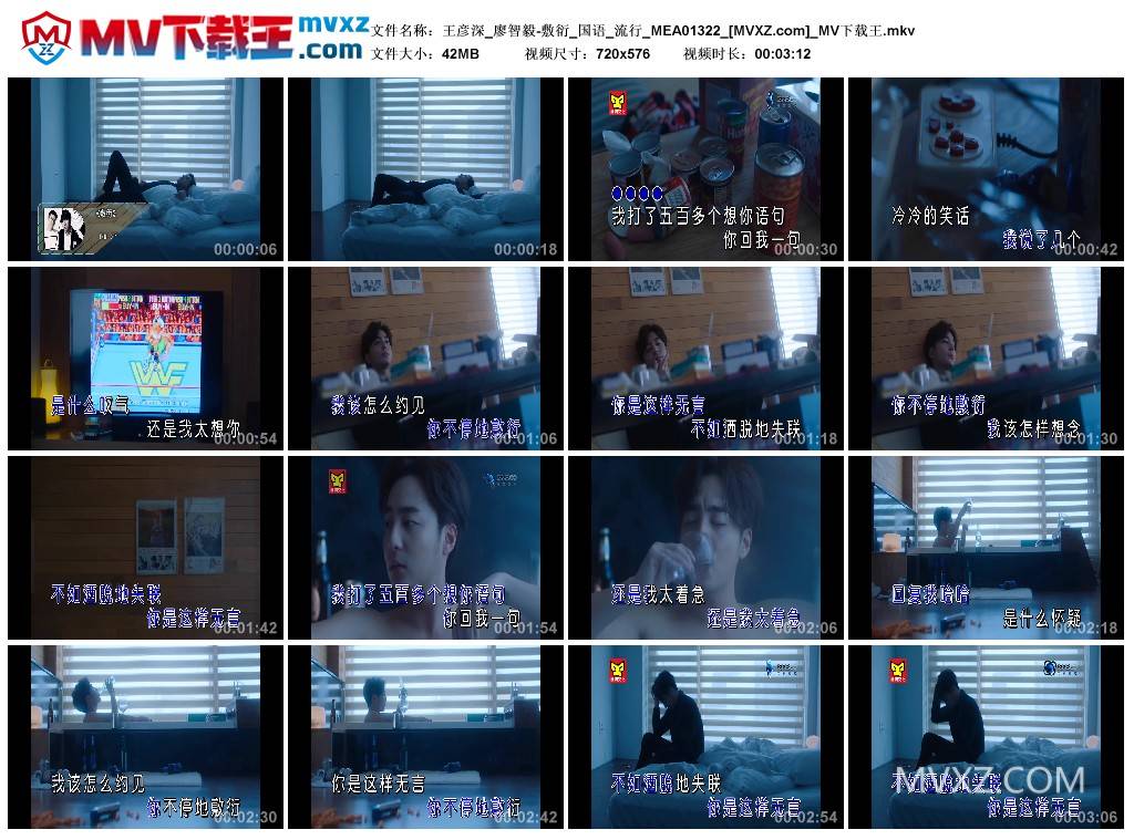 王彦深_廖智毅-敷衍_国语_流行_MEA01322